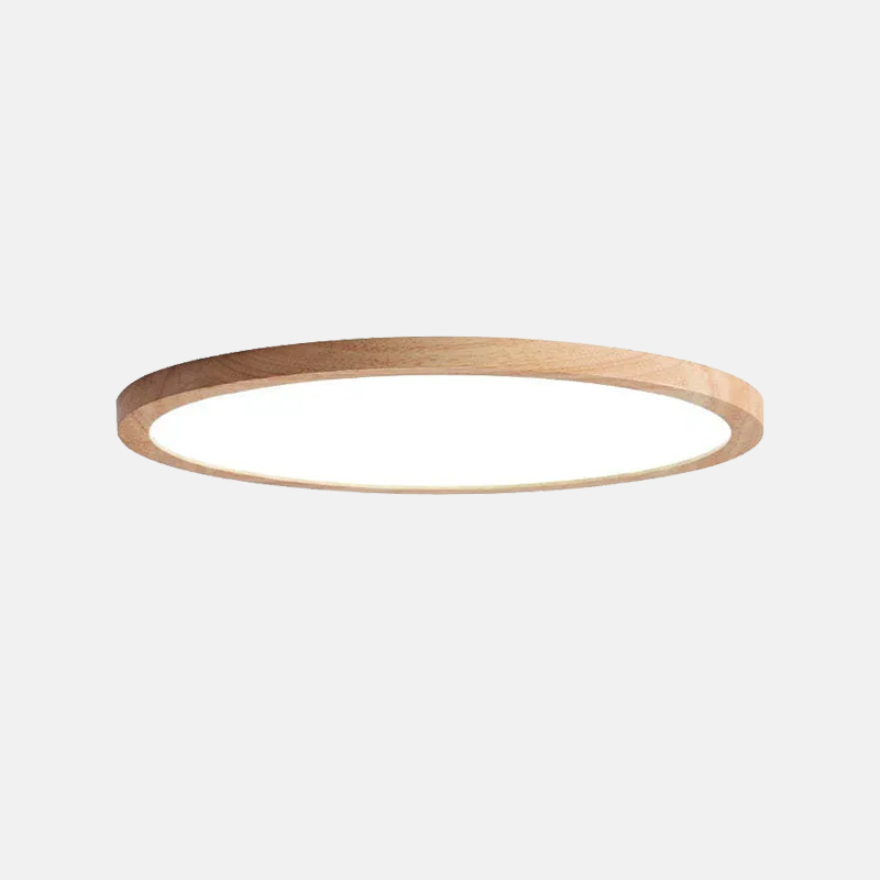 Modern Ceiling Light Round