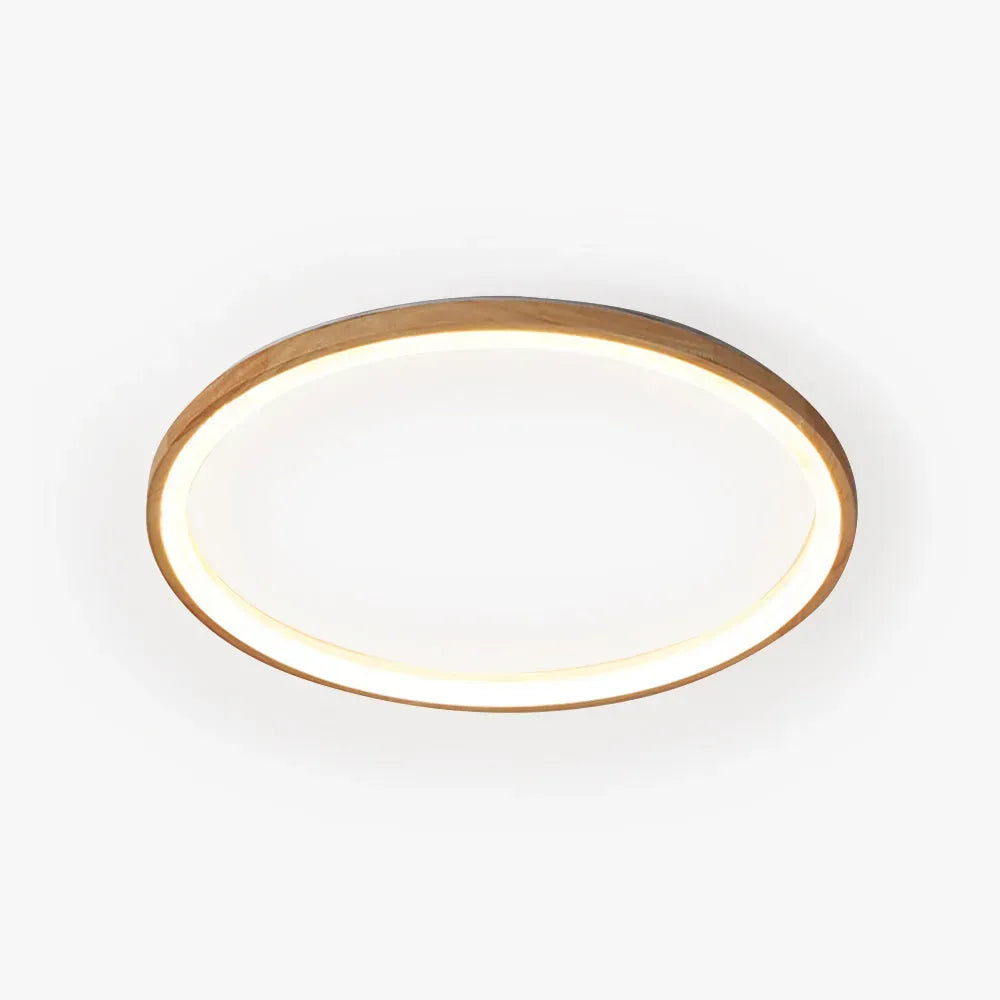 Modern Ceiling Light Round  