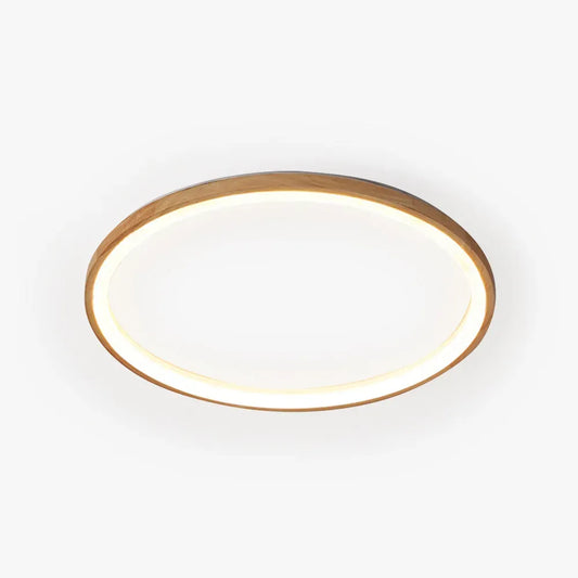Modern Ceiling Light Round  