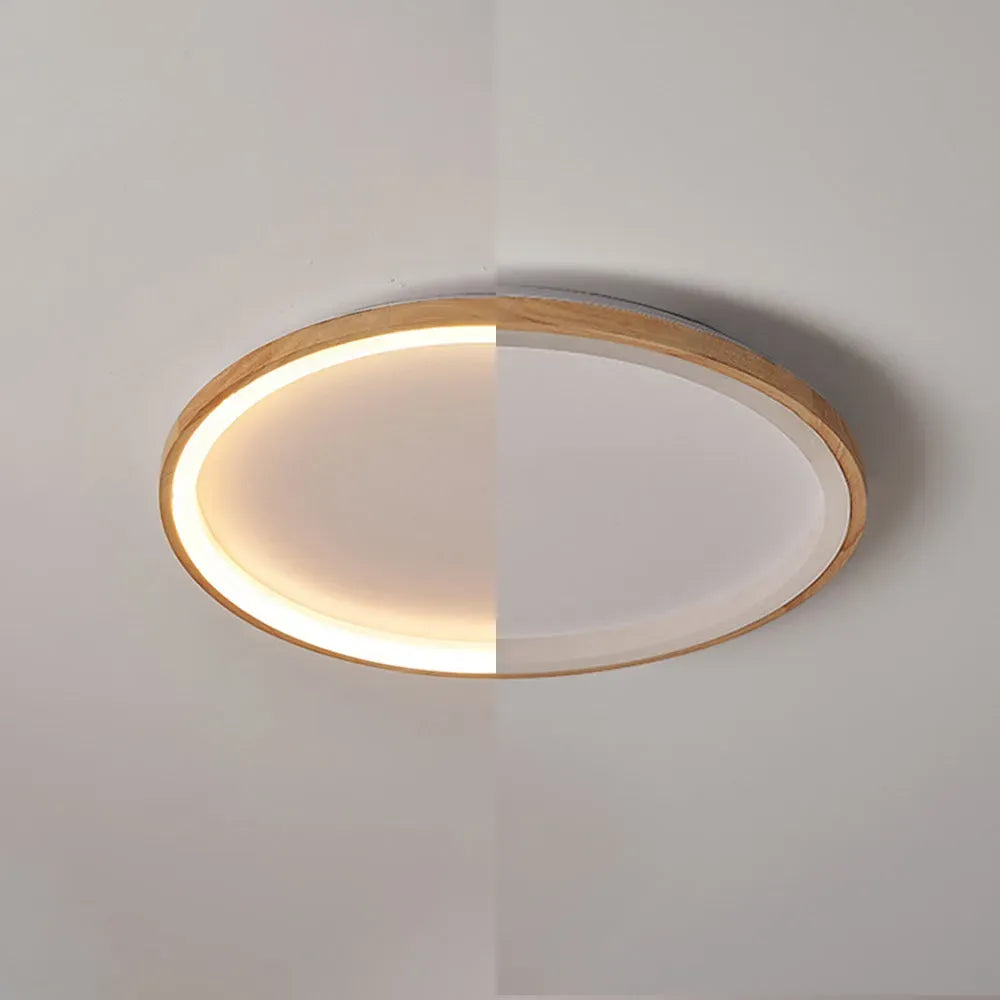 Modern Ceiling Light Round Detail