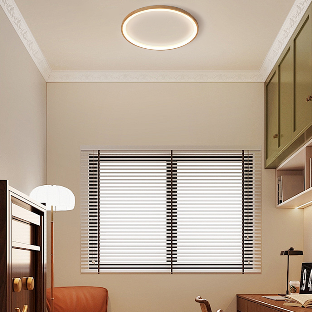 Modern Ceiling Light Round  Study Room
