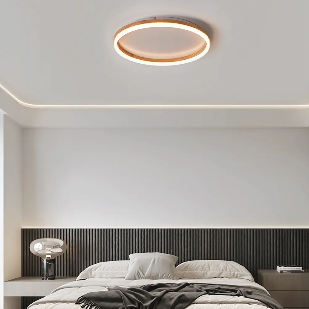 Minimalist Ring Dimmable Flush Mount Ceiling Light