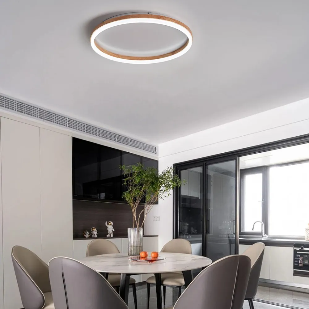 Minimalist Ring Dimmable Flush Mount Ceiling Light
