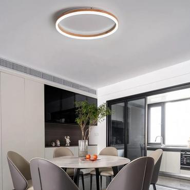 Minimalist Ring Dimmable Flush Mount Ceiling Light