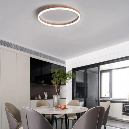 Minimalist Ring Dimmable Flush Mount Ceiling Light