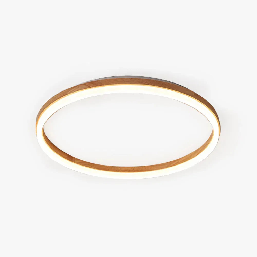 Minimalist Ceiling Light Round 