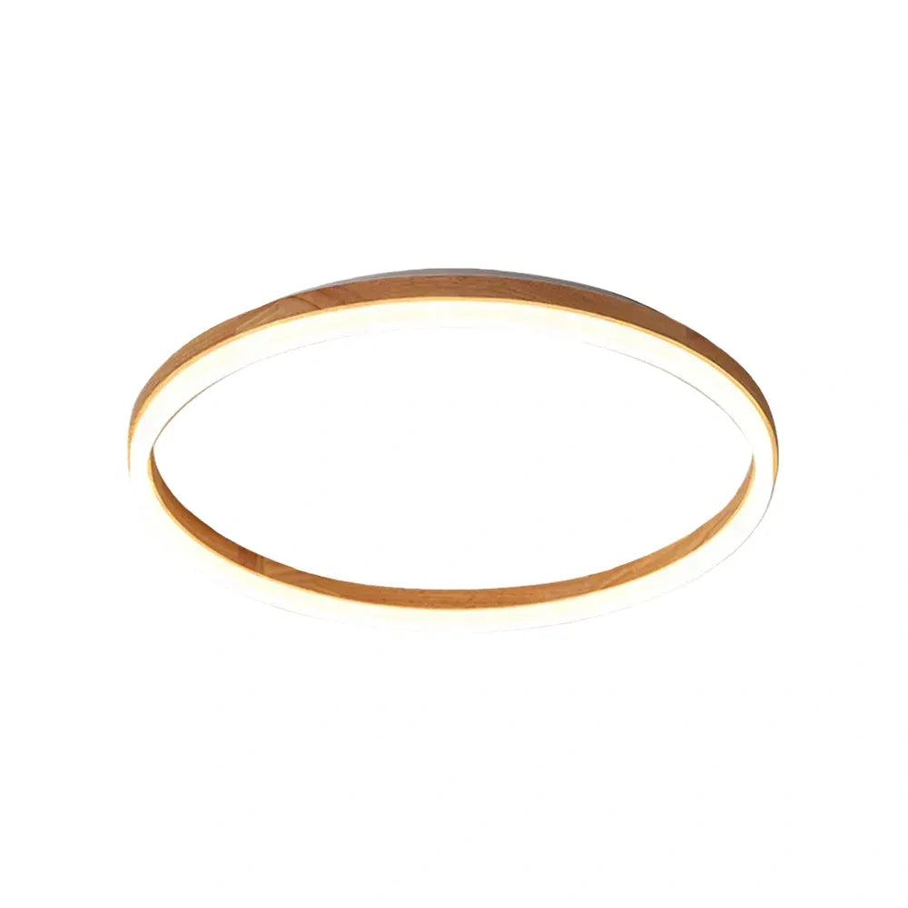 Minimalist Ring Dimmable Flush Mount Ceiling Light