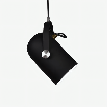 Modern Metal Pendant Light