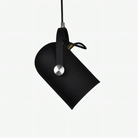Modern Metal Pendant Light