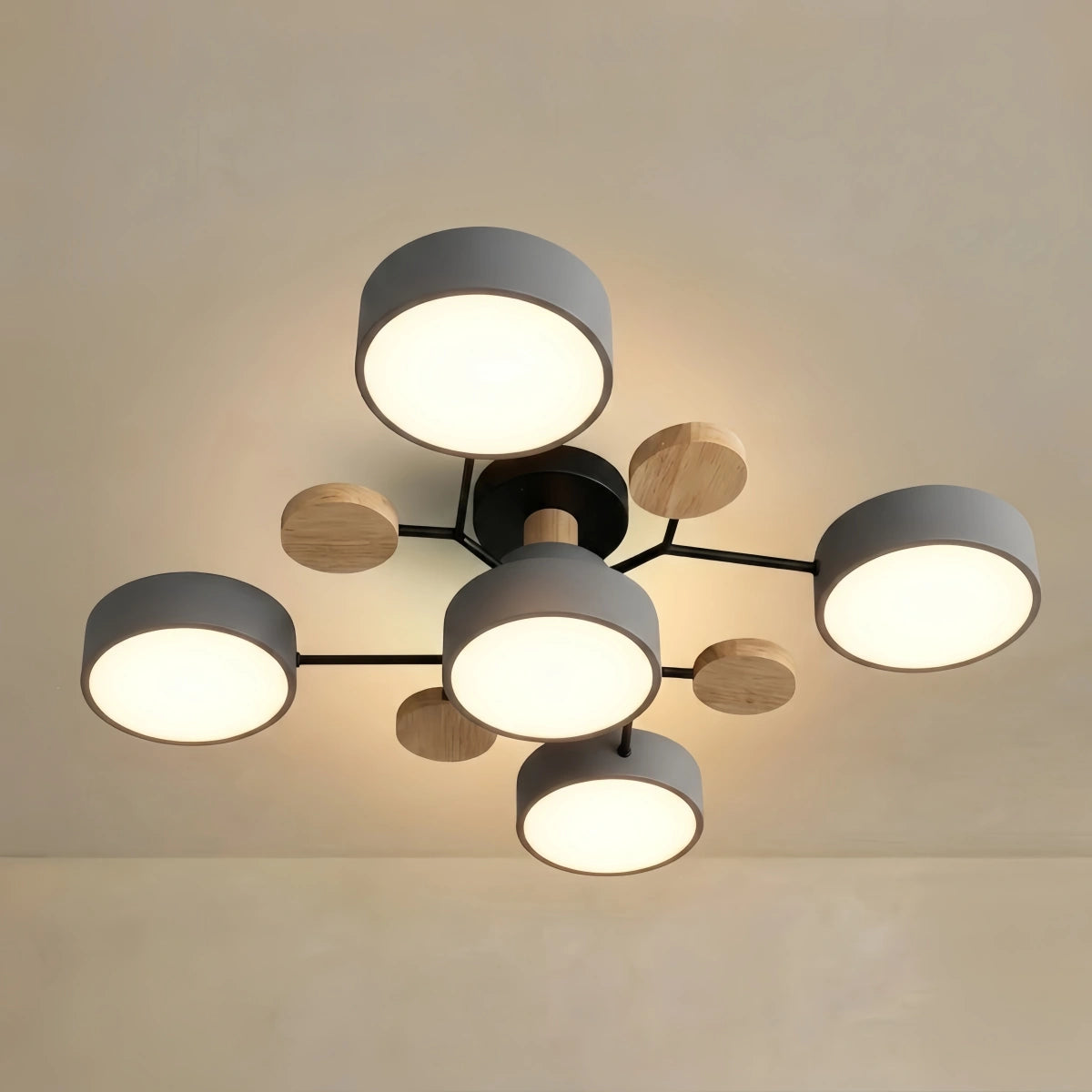 Ceiling Light - Multi-Head