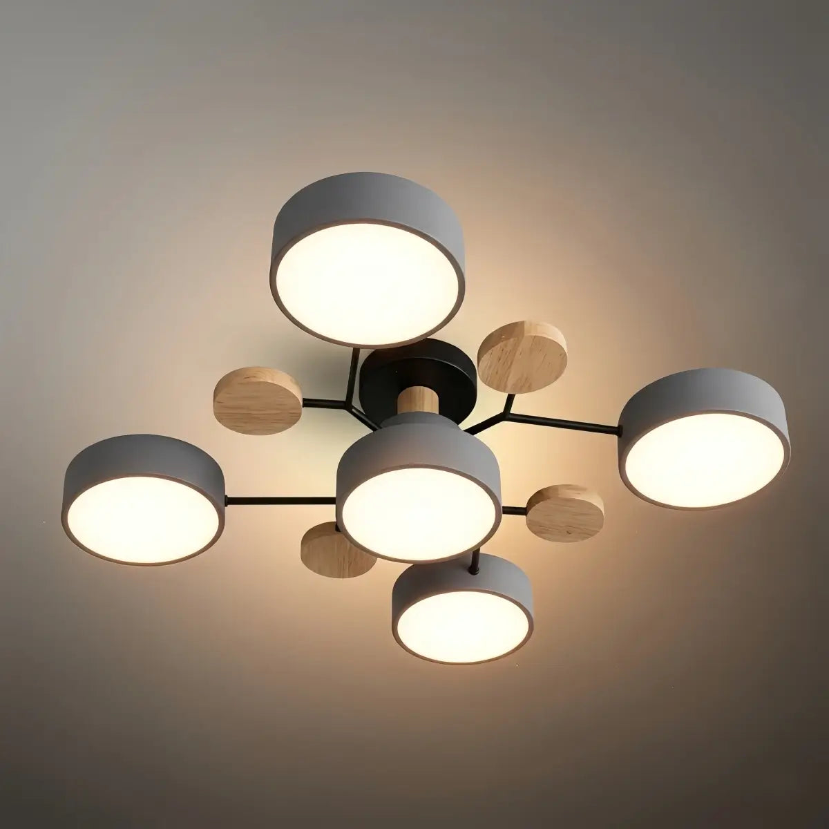 Modern_Round_Ceiling_Light