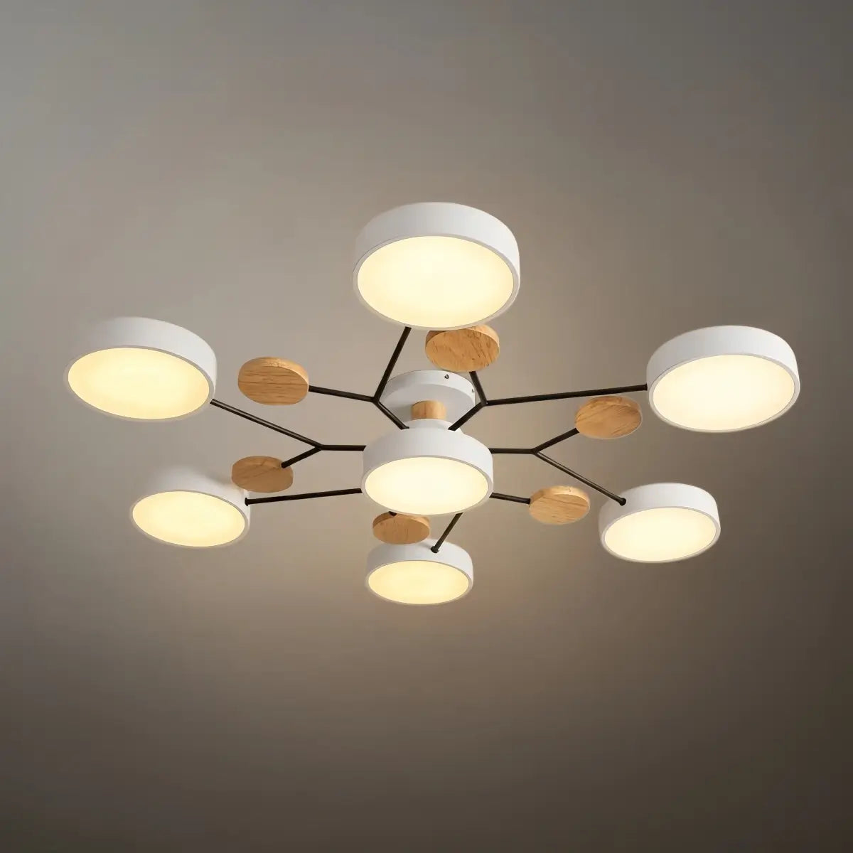 Modern_Round_Ceiling_Light