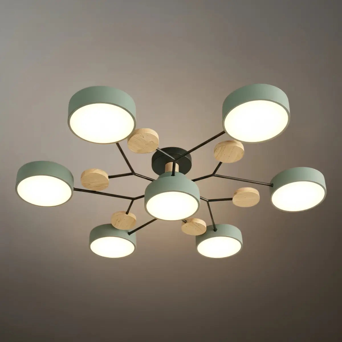 Modern_Round_Ceiling_Light