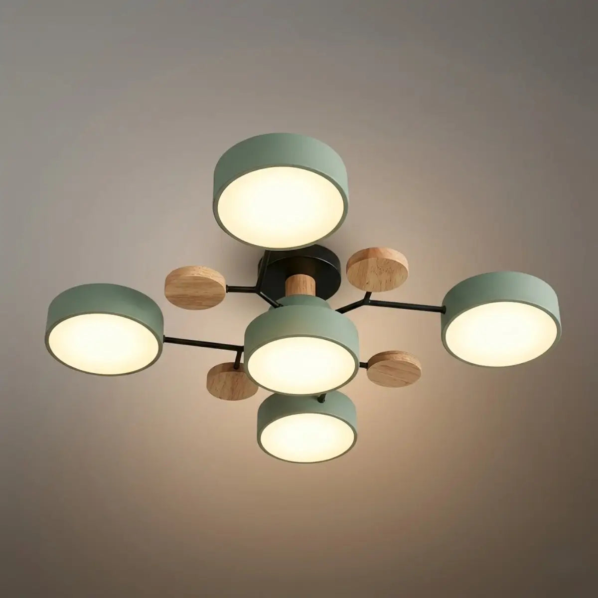 Modern_Round_Ceiling_Light