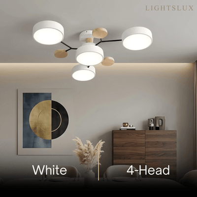 Modern_Round_Ceiling_Light
