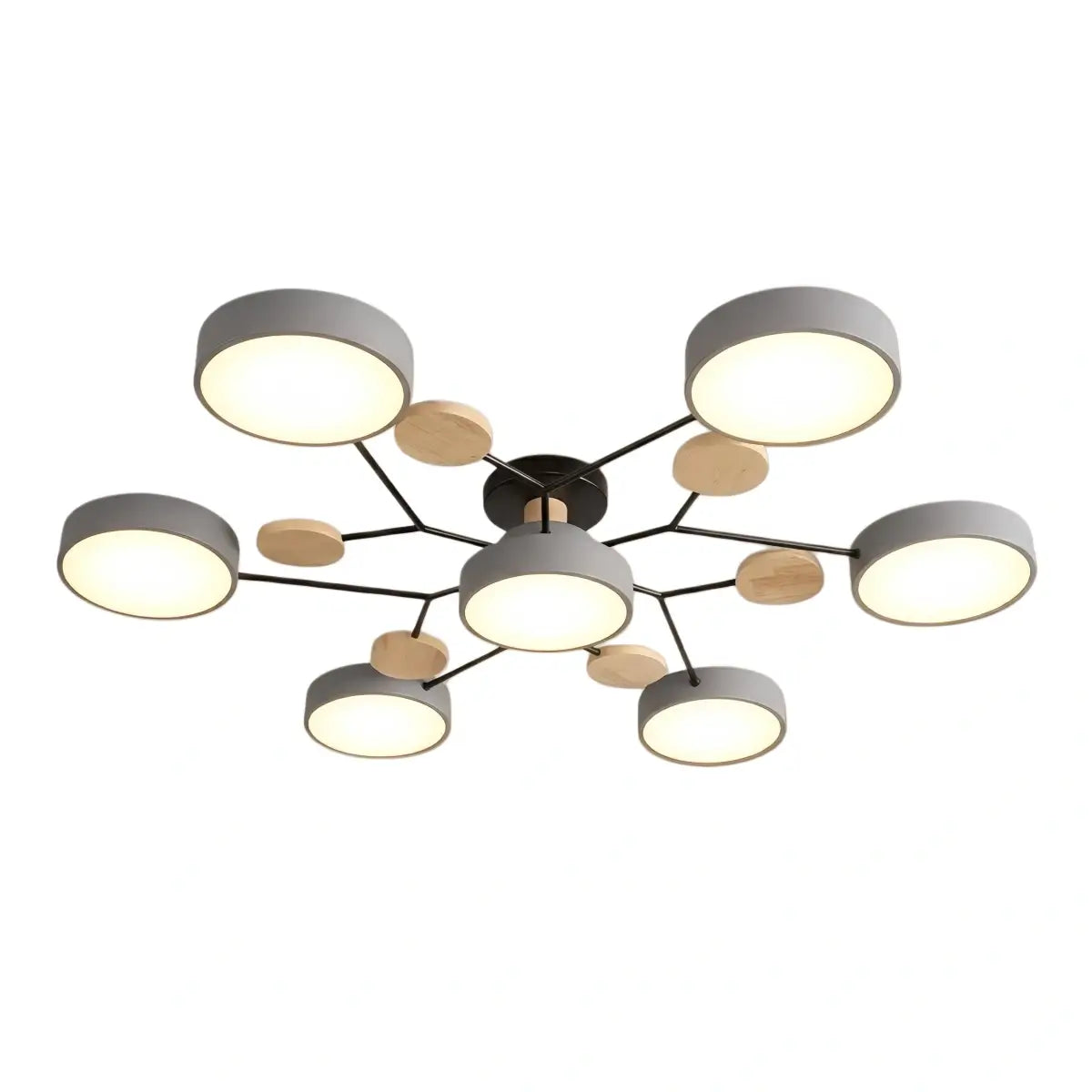 Modern_Round_Ceiling_Light