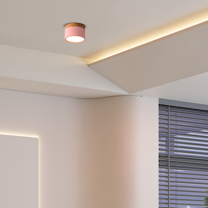 Nordic Pink Ceiling Light Cylinder for Living Room
