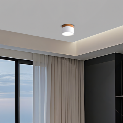 Nordic White Ceiling Light Cylinder for Living Room