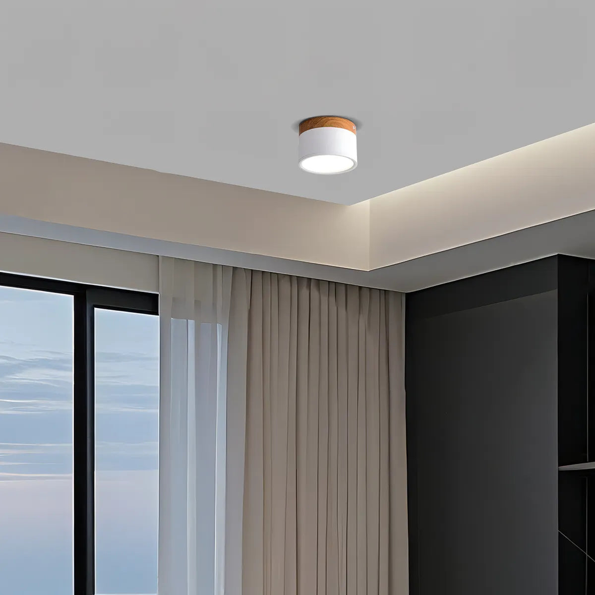 Nordic LED Ceiling Light