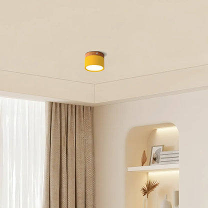 Nordic LED Ceiling Light