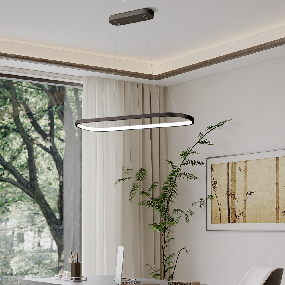 Modern Black Oval Pendant Light for Study Room