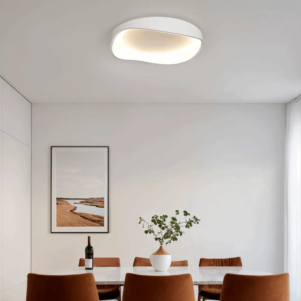 Ceiling Light – Metal /Acrylic for Living Room