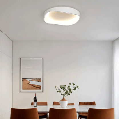 Ceiling Light – Metal /Acrylic for Living Room